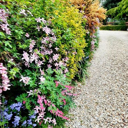 Ivy House Barn, Heckington Villa Bagian luar foto